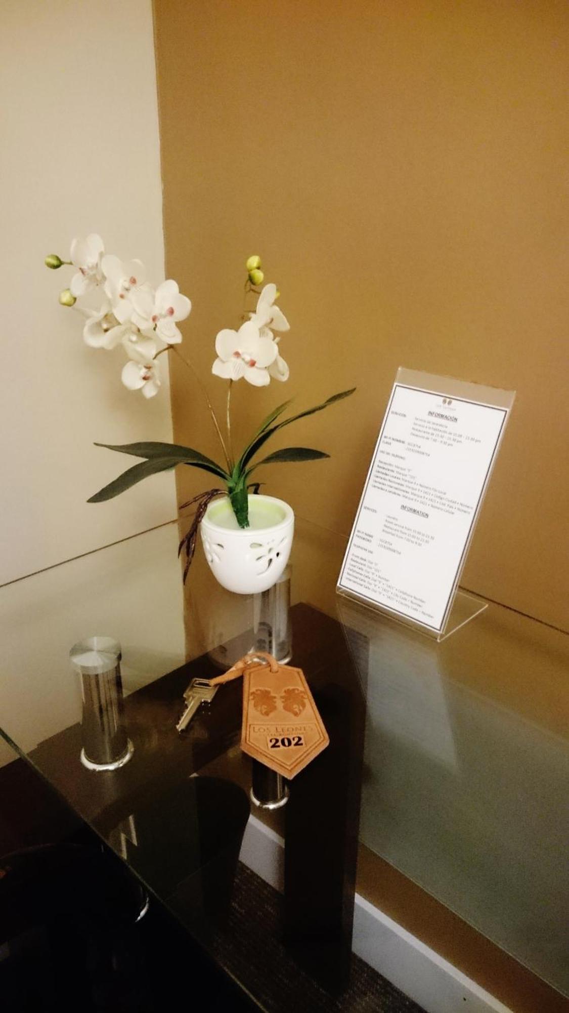 Los Leones Hotel Boutique Yanahuara Oda fotoğraf